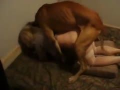 Lovely Asian teenage is getting gangbanged by her brown dog 